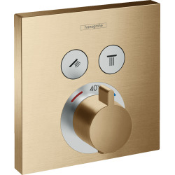 Set de finition pour mitigeur thermostatique encastré avec 2 fonctions (15763140)