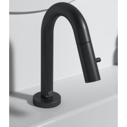 Robinet de lavabo noir CERALINE (F2842XG)