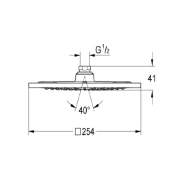 27271000 GROHE rainshower 254 x 254