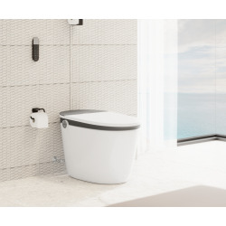 Hansgrohe AddStoris Porte-papier WC mural, Noir mat (41771670)