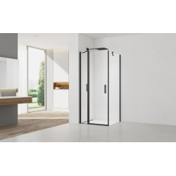 Swiss Aqua Technologies Fusion ensemble porte pivotante /paroi 100x90cm anticalcaire avec profilés noir mat (SATFUDP100S90C)