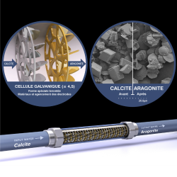 Set Adoucisseur d'eau  Anticalcaire Antibactérien innovant IPS Kalyxx BlueLine G3/4 " femelle (IPSBG34-SATHF34DX2)